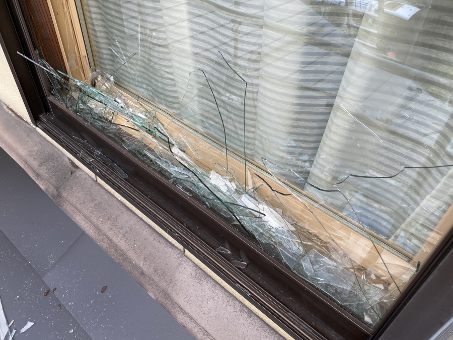 新潟市秋葉区でヤマドリが窓ガラスに激突してガラス破損させた事件